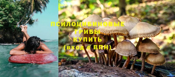 прущая мука Алексеевка