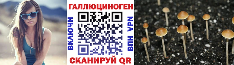 Галлюциногенные грибы мицелий  Нытва 